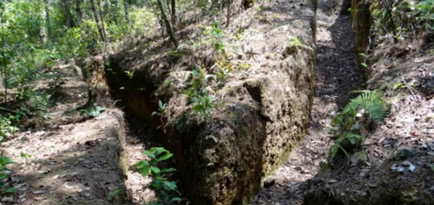 1678437821783307.png image.png